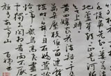 书法小品11